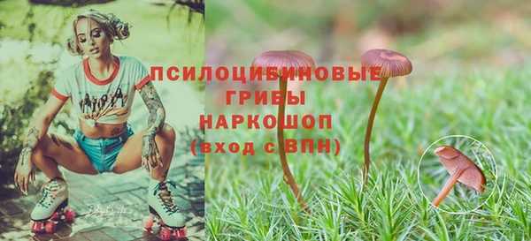 COCAINE Белокуриха